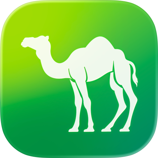Camel Live