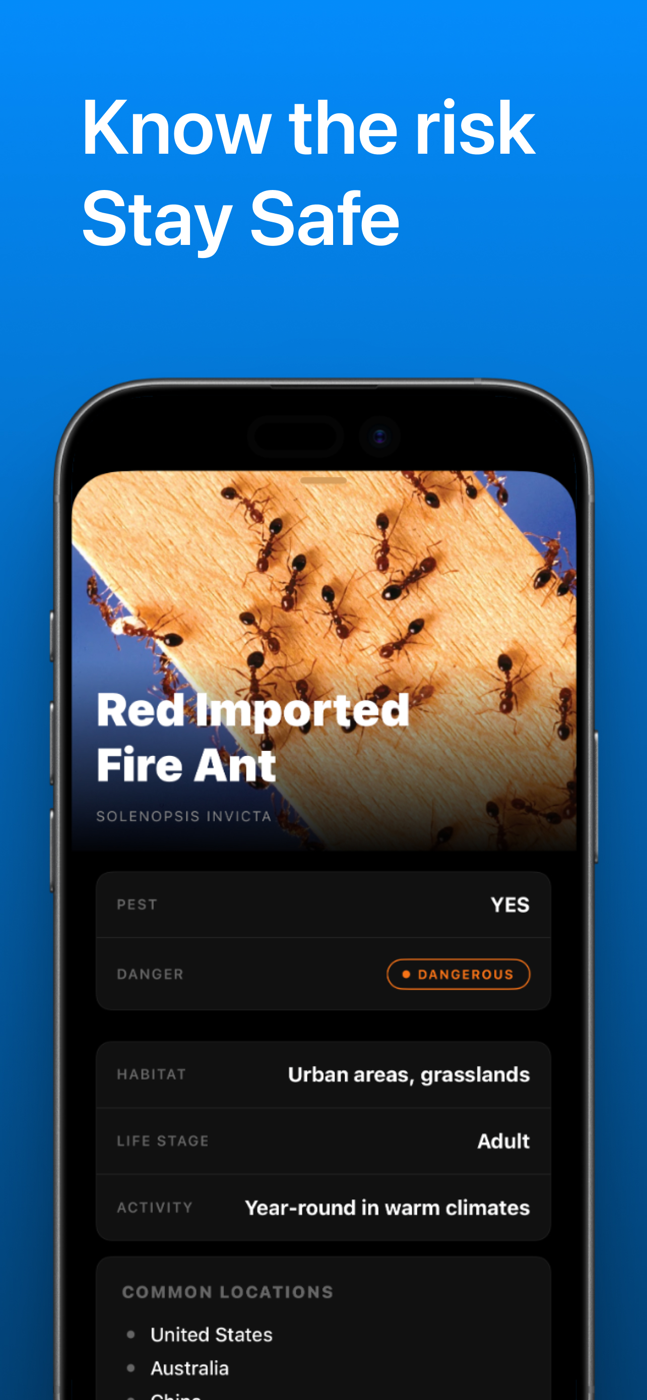 WhatTheBug - Insect Identifier screenshot 3