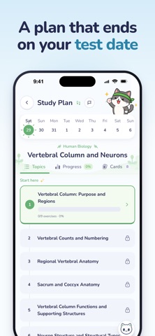 Meomo AI Flashcard & Exam Prep iPhone screenshot
