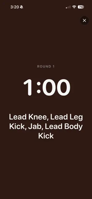 Bout: Boxing & Muay Thai Timer screenshot 2