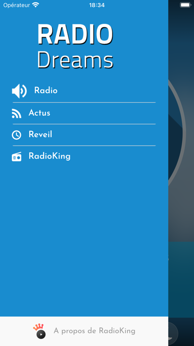 Radio Dreams Screenshot