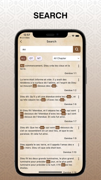 La Bible du Semeur Audio Pro Screenshot