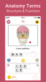 Medical Findings screenshot
