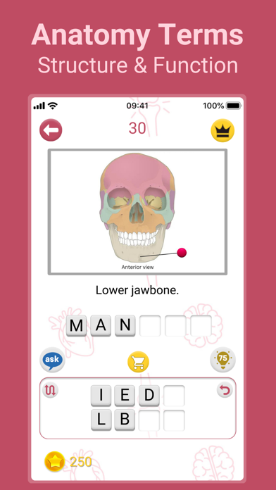 Screenshot #2 pour Medical Findings