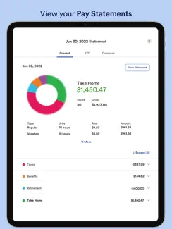 ADP Mobile Solutions iPad image 2