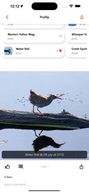 Limosa: Birding & Bird ID screenshot 1