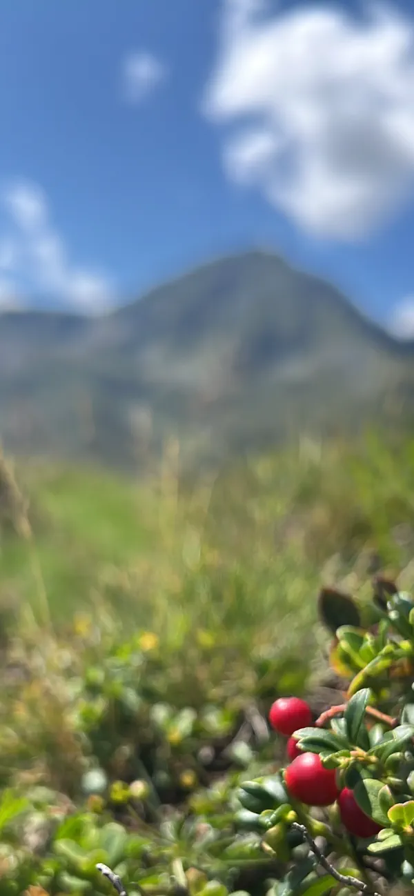 Screenshot #2 pour Manual Focus Camera