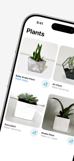 Plant Daddy : capture d’écran 1 sur 8