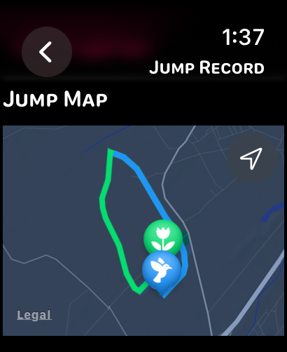Skydive Snitch