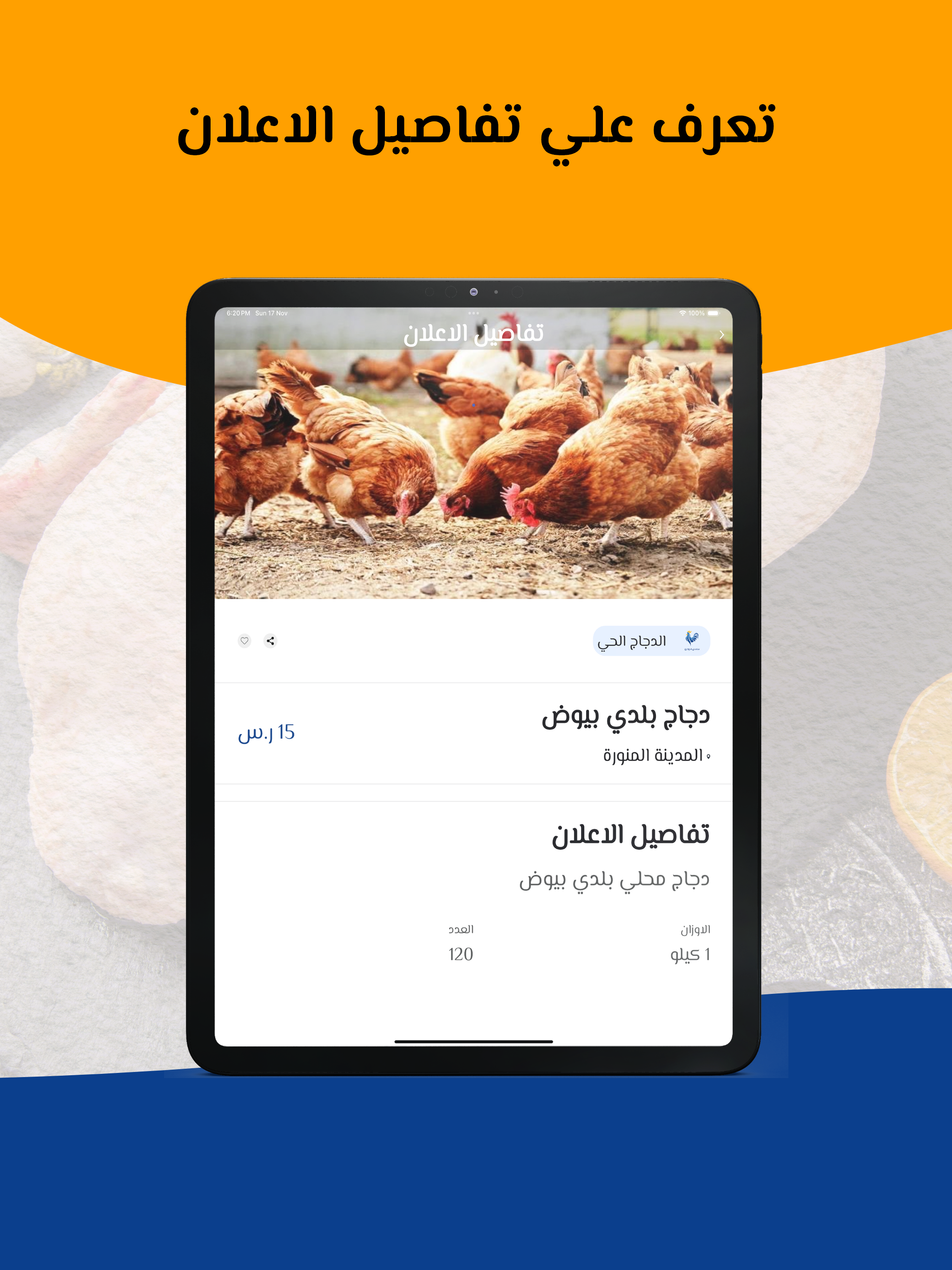سلاسل الدواجن