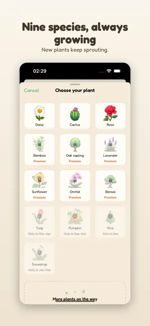 Filiza screenshot 3