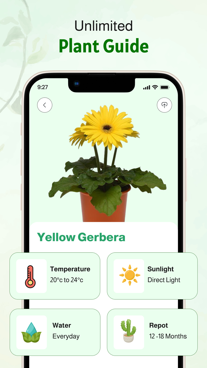 PlantPro Identifier  Disease