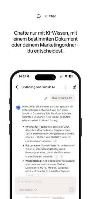 winkk AI screenshot 4