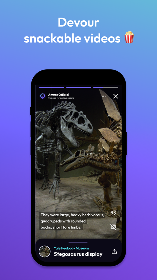 #4. Amuse: Museum and City Guide (iOS) Bởi: Amuse Technologies