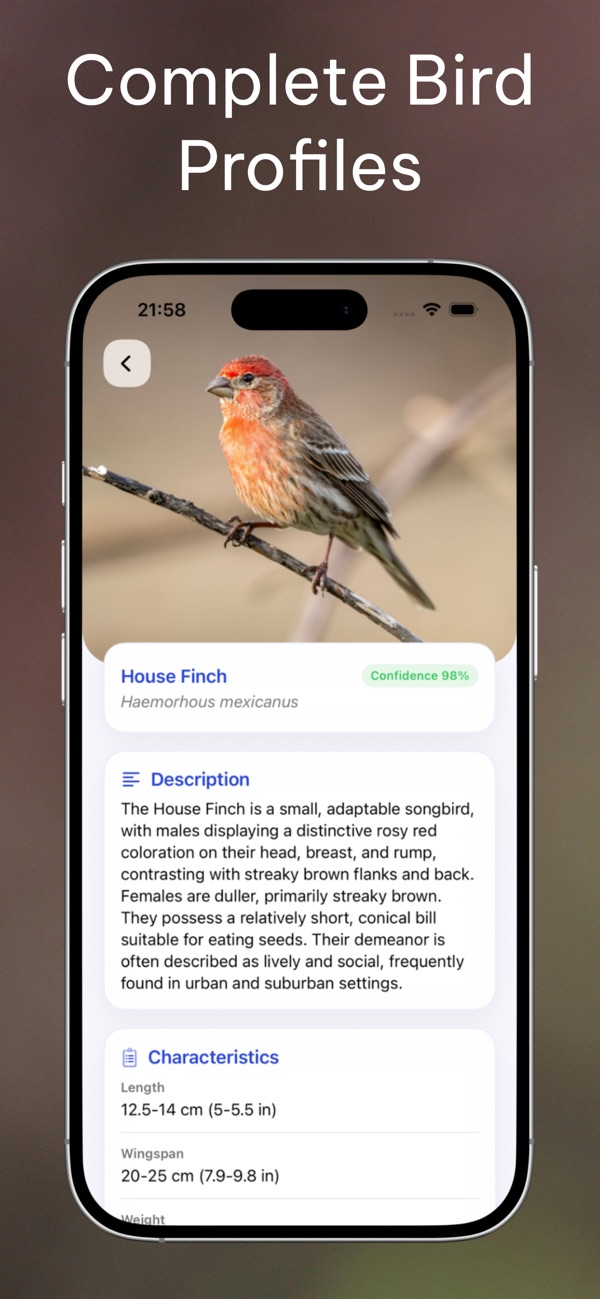 Bird Identifier: Scan by Photo screenshot 4