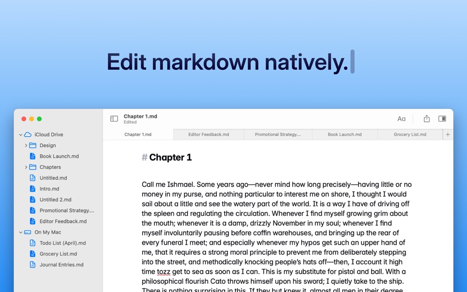 #3. Paragraphs: A Writing App (macOS) 由: Triplane