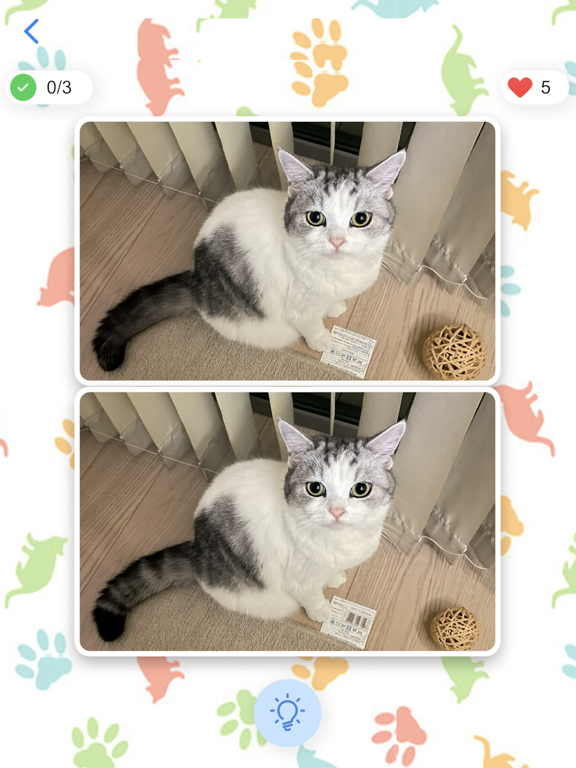 Cat Find Differences