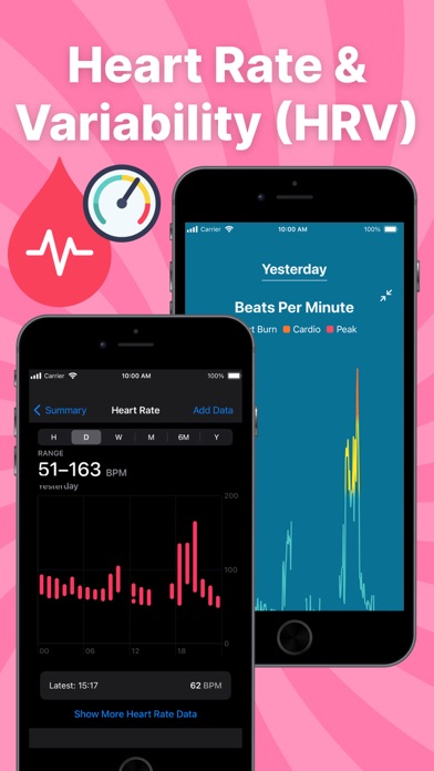 Auto Sync Fitbit to Health App Screenshot