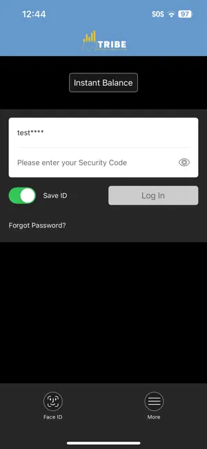 Tribe Federal Credit Union screenshot 2