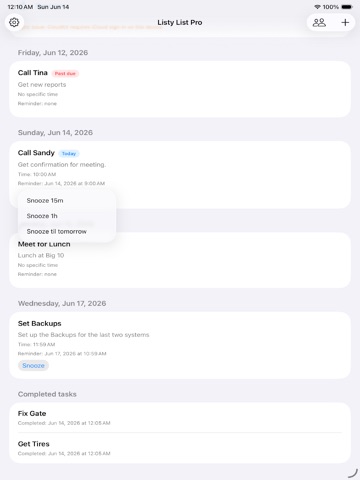 Listy List Pro iPad screenshot