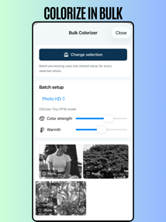 Offline Photo Colorizer screenshot 13