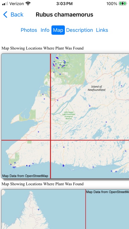 Newfoundland Wildflowers screenshot-5