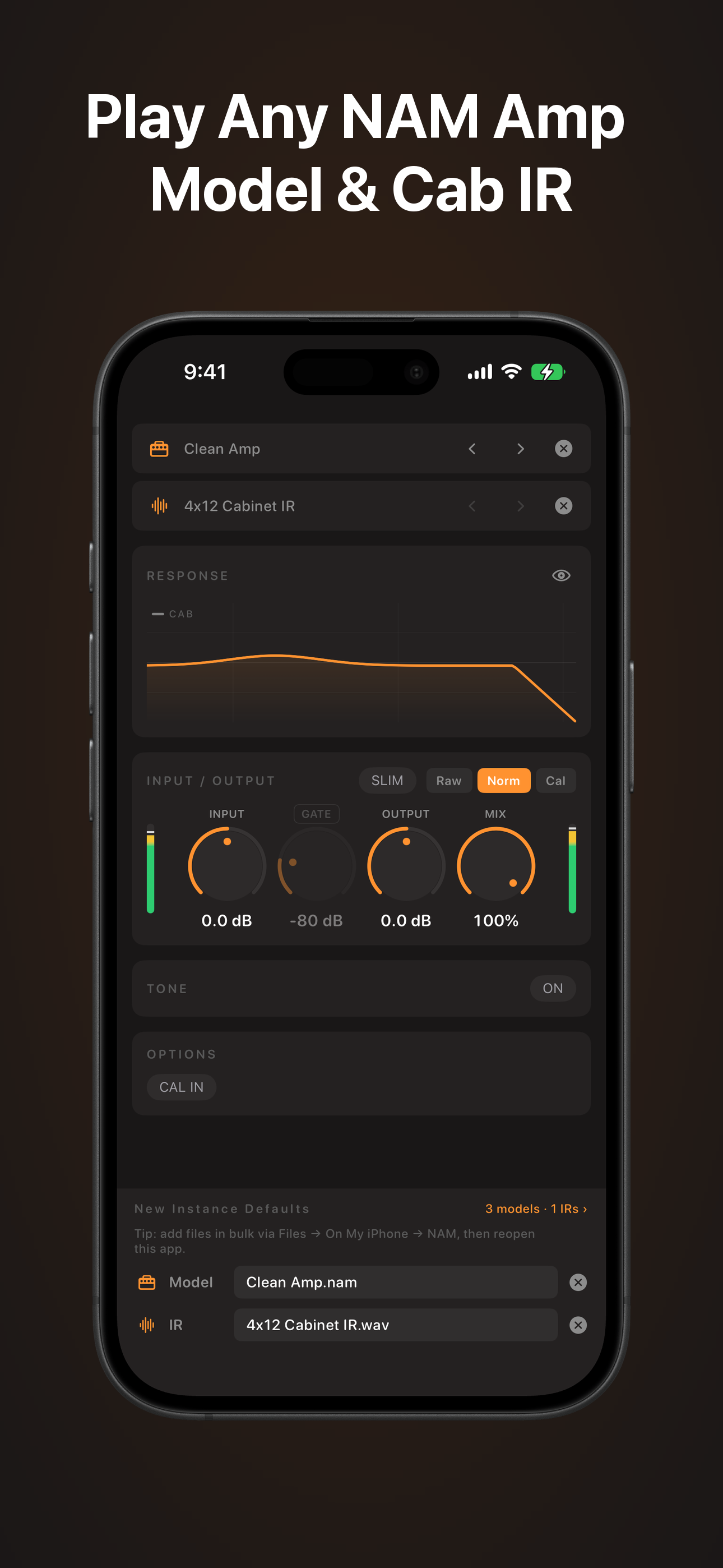 NAM AUv3: Neural Amp Modeler