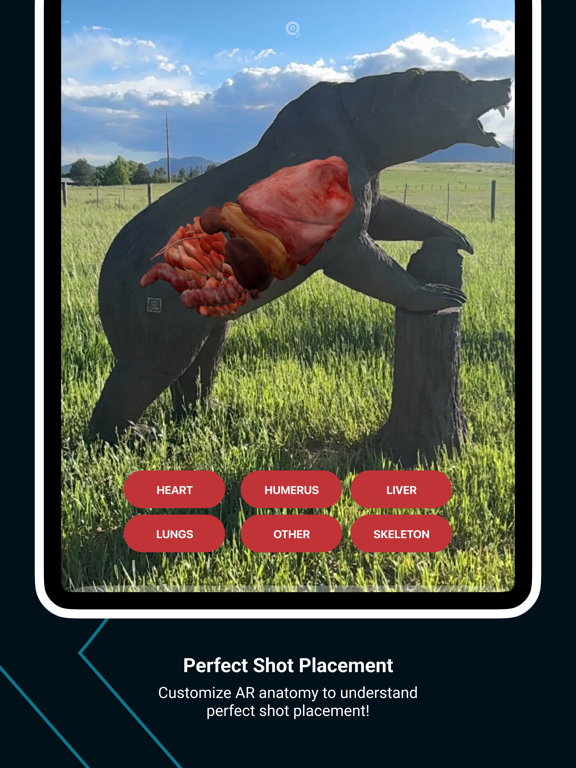 QuivAR iPad screenshot 6 - Sports app