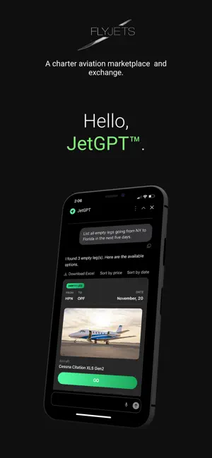 FLYJETS screenshot 4