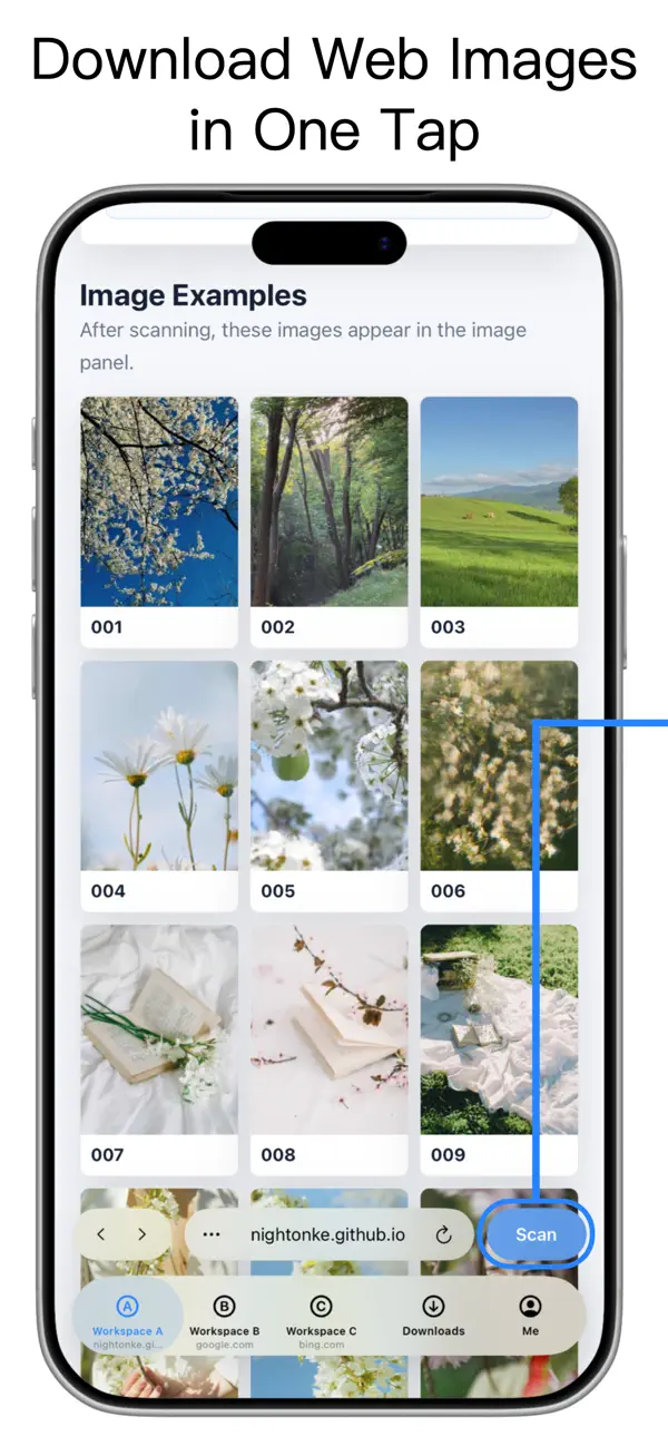 #1. PicRover: Bulk Web Image Saver (iOS) De: Weiping Huang