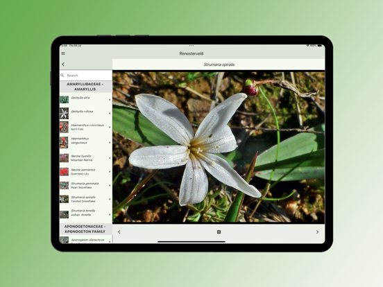 Screenshot #6 pour Field Guide to Renosterveld