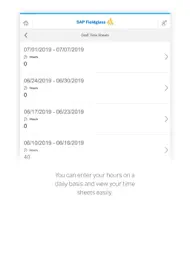 SAP Fieldglass Time Entry ipad bilder 2