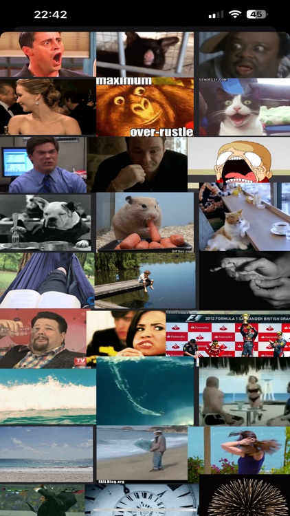 ¿WhyNot? screenshot-4