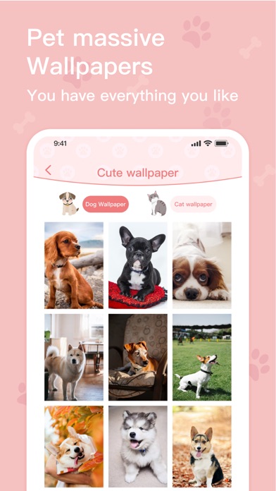 Pet Fun:Pet Training,Meow&Talk Screenshot