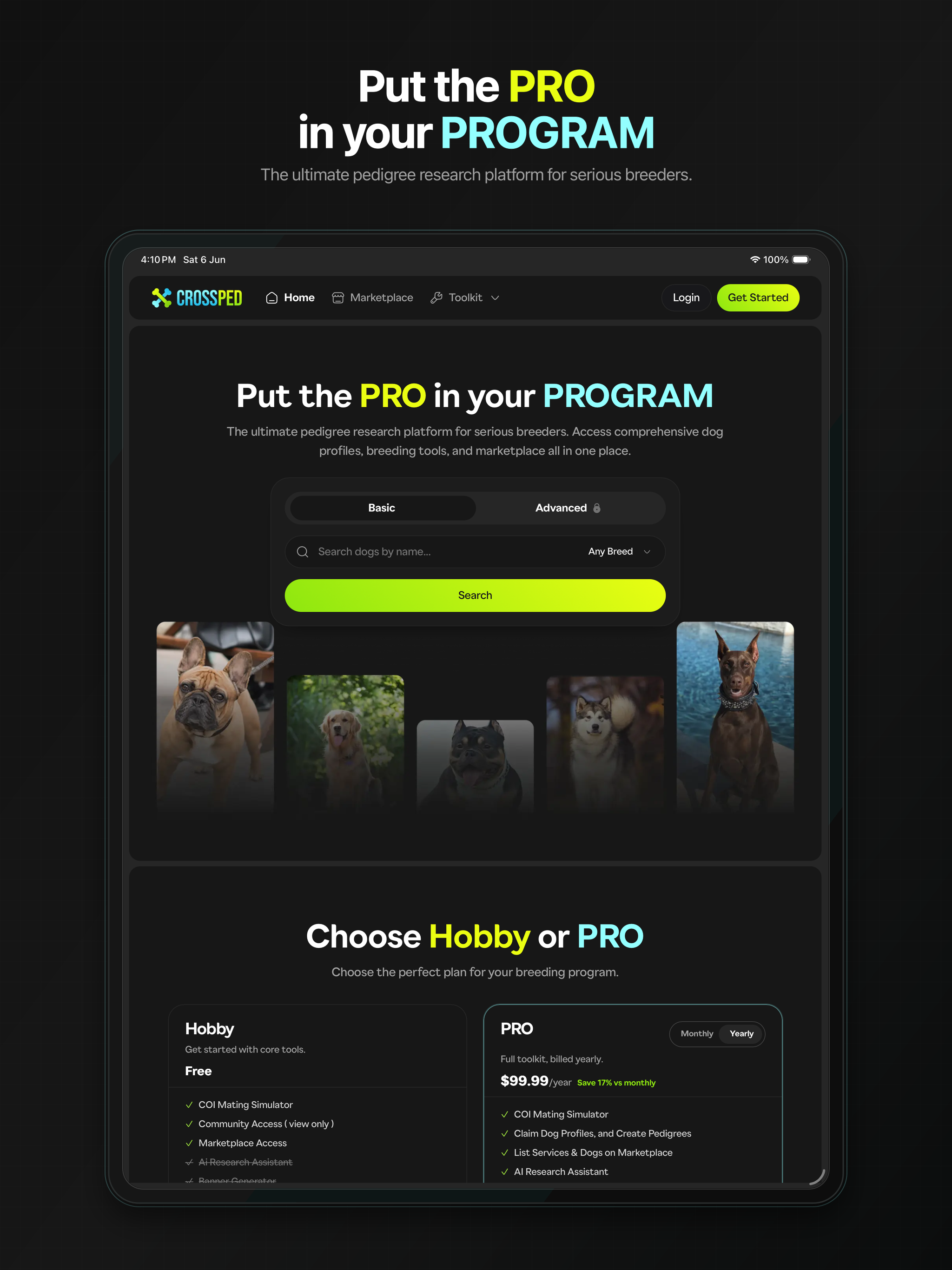 CrossPed screenshot 7
