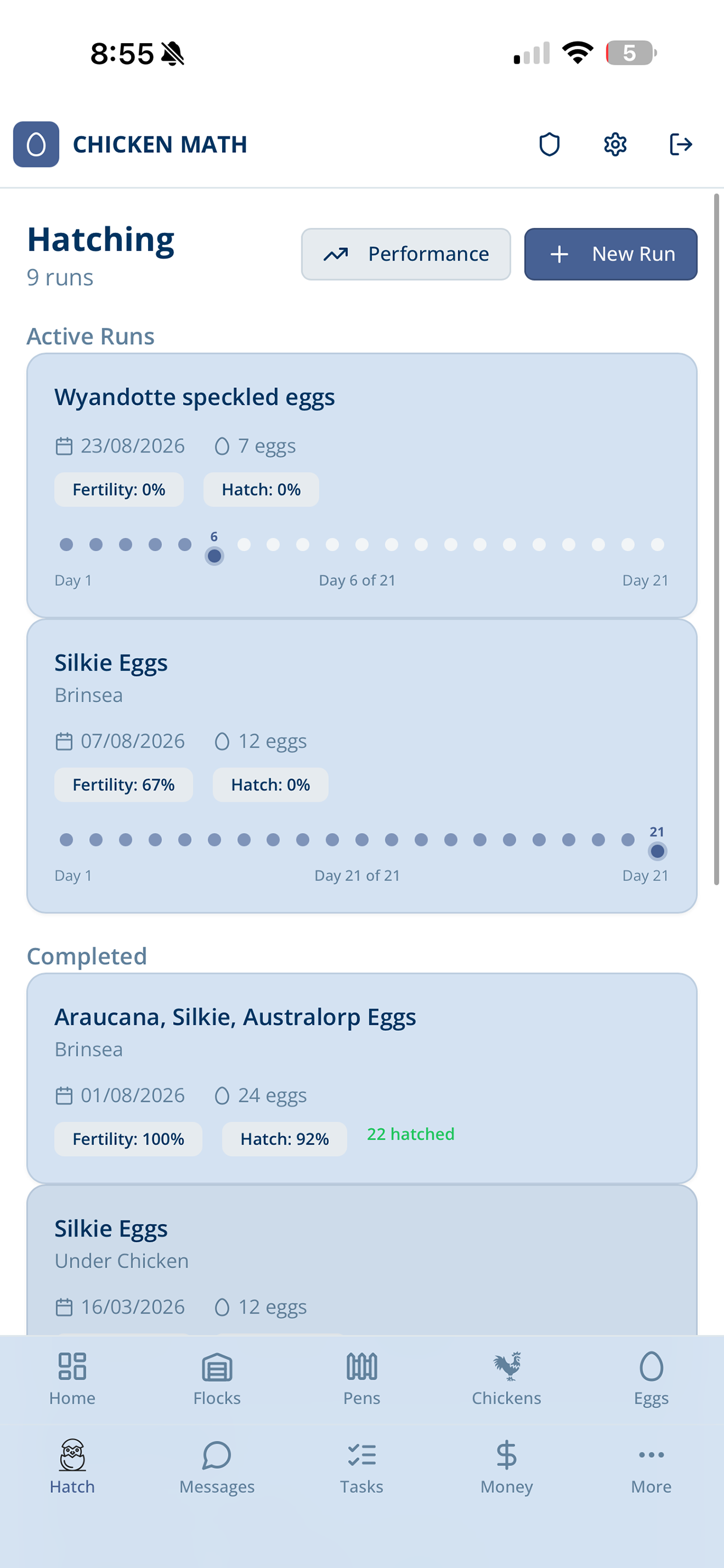 Chicken Math screenshot 8