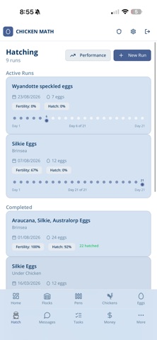 Chicken Math Screenshot 8 of 10