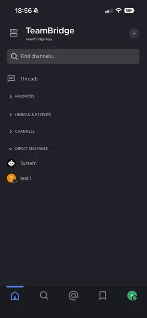 Teambridge Pro screenshot 1