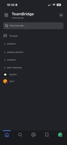 Teambridge Pro iPhone screenshot
