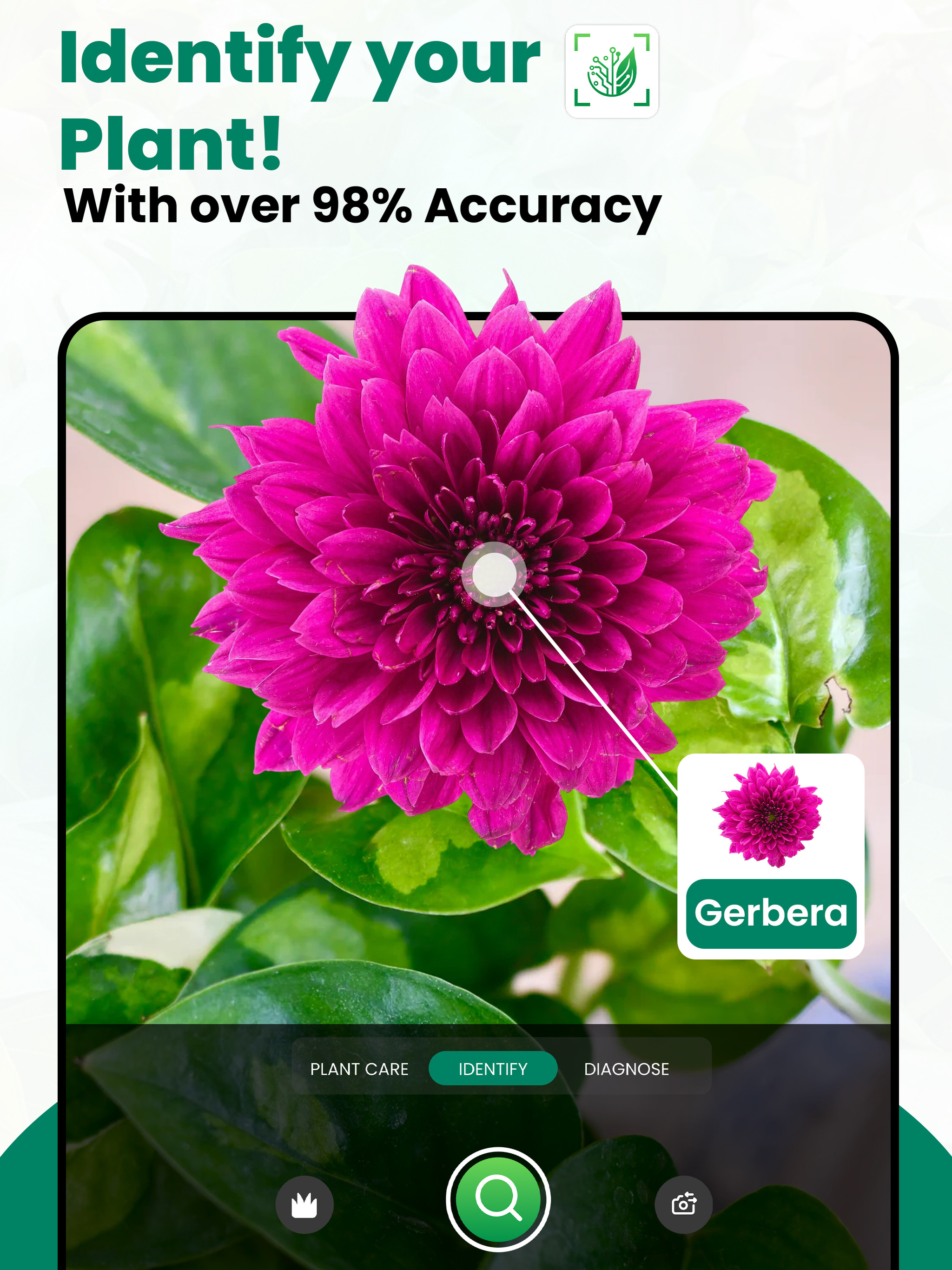 Plant Identifier AI Plant Care