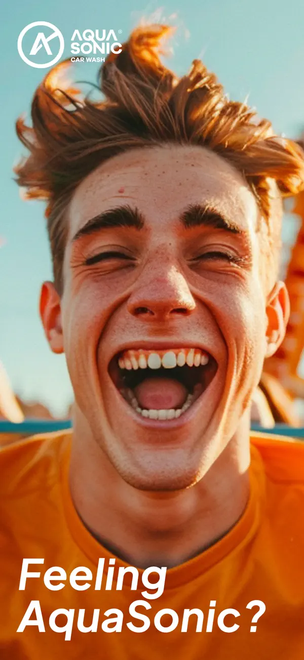 Screenshot #1 pour AquaSonic Car Wash