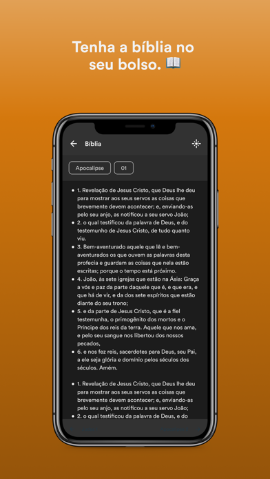 Screenshot #3 pour AD Perseverar em cristo