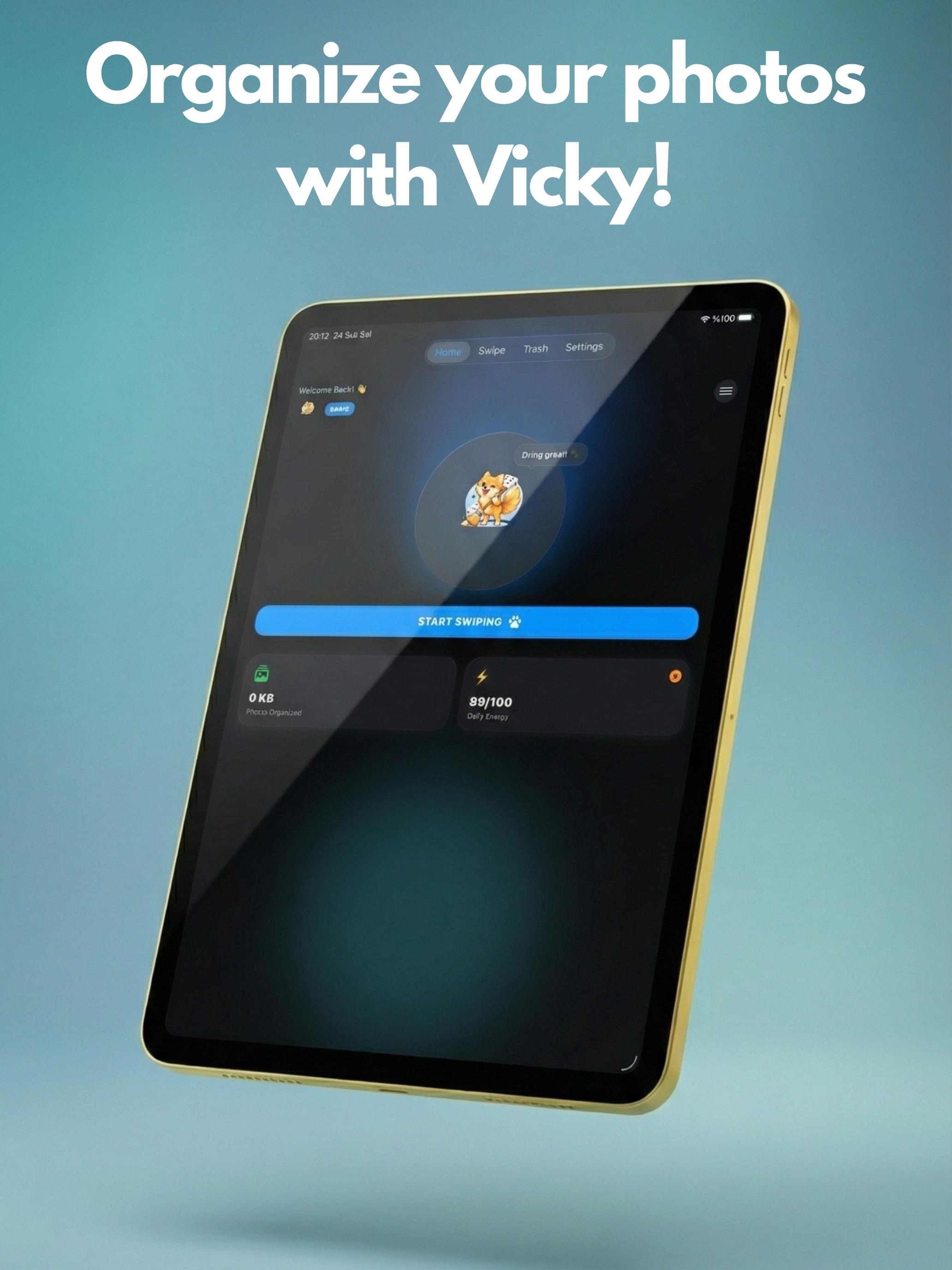 Vicky: Swipe Photo Cleaner