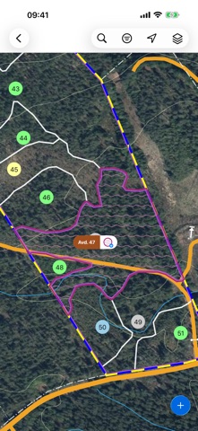 Global Forester Screenshot 4 of 4