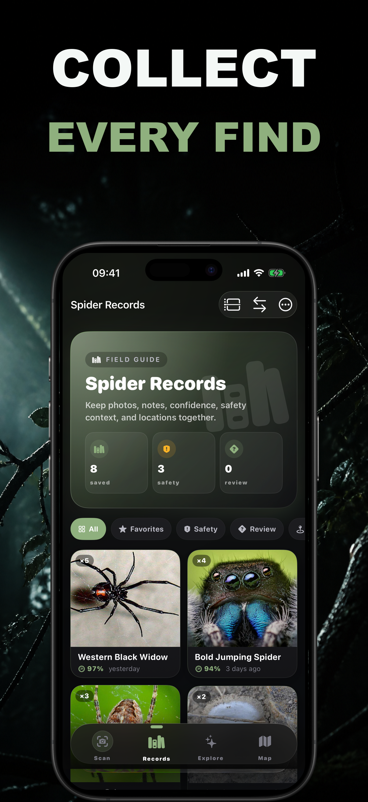 Spidr AI: Spider Identifier screenshot 2