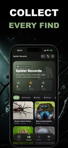 Spidr AI: Spider Identifier Screenshot 2 of 6