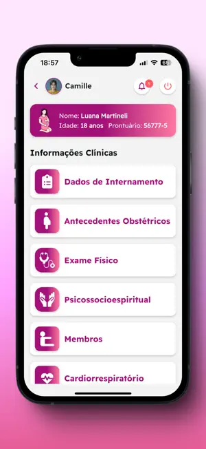 Gesta-TIS screenshot 4
