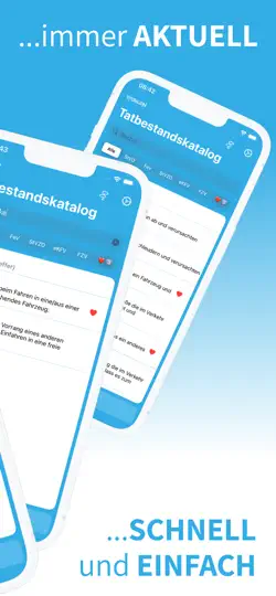 Screenshot von Tatbestandskatalog auf dem iPhone 2