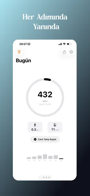 StepGo screenshot 1