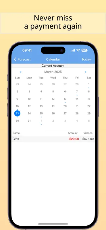 Balance Guide: Bills Forecast screenshot 2 of 6